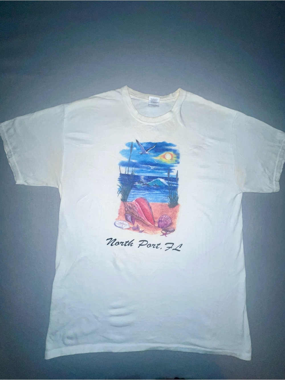 Gildan Heavy Cotton North Port FL Beach Graphic T-Shirt White XL Unisex
